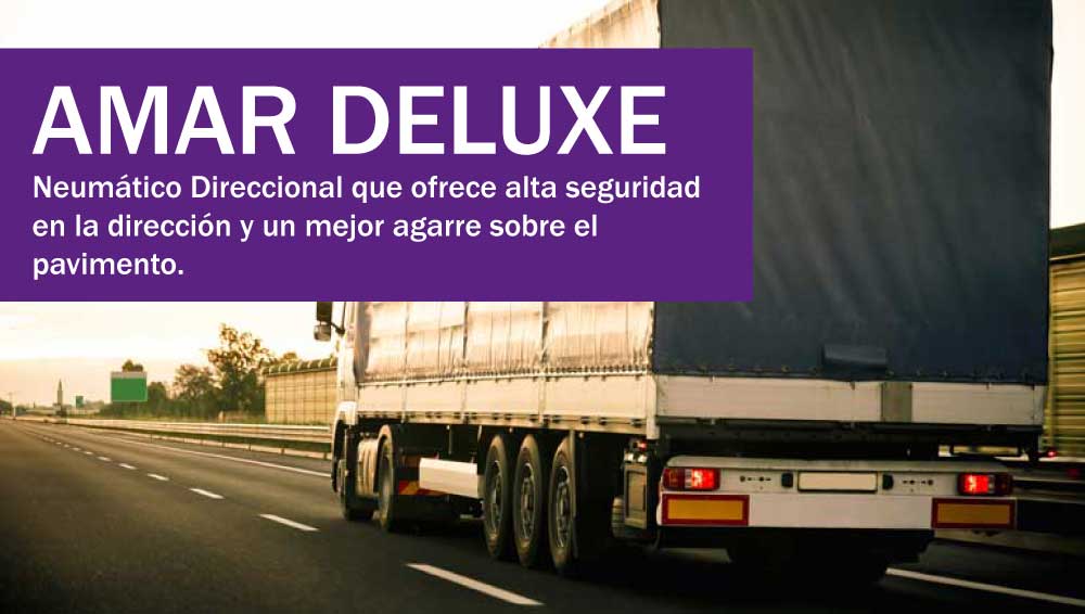 Llanta Apollo para Camion Amar Deluxe